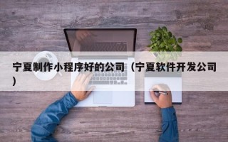 长春宁夏制作小程序好的公司（宁夏软件开发公司）